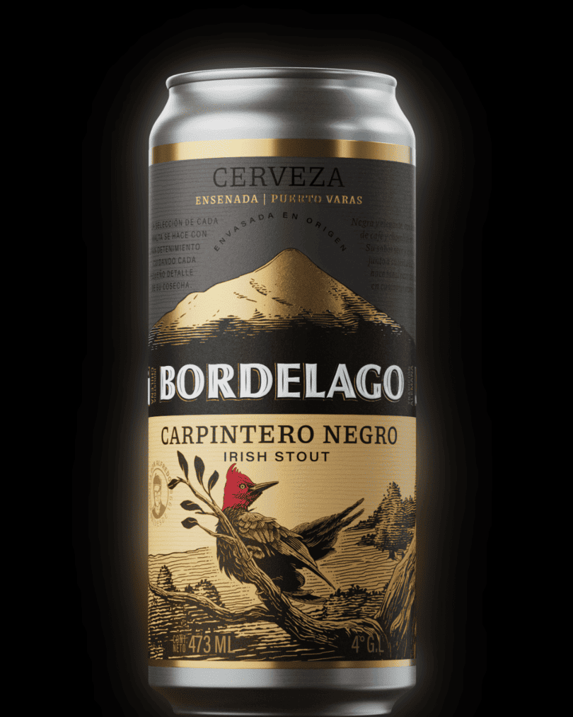 Carpintero Negro